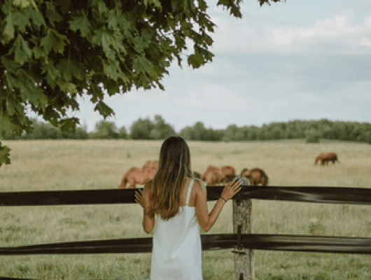 Kike Vega F2qh3yjz6Jk Unsplash 8 Min