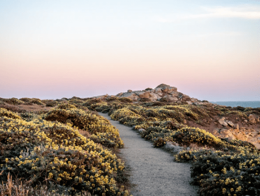 Xps DpbXgTh0Lac Unsplash 3 Min